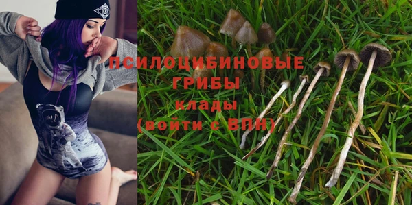 ALPHA PVP Армянск