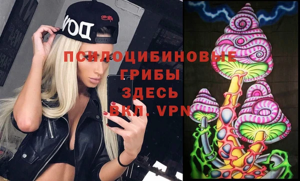 ALPHA PVP Армянск